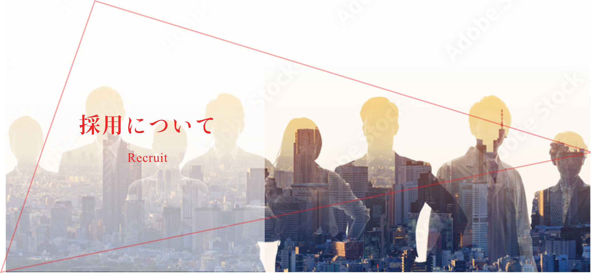 採用について