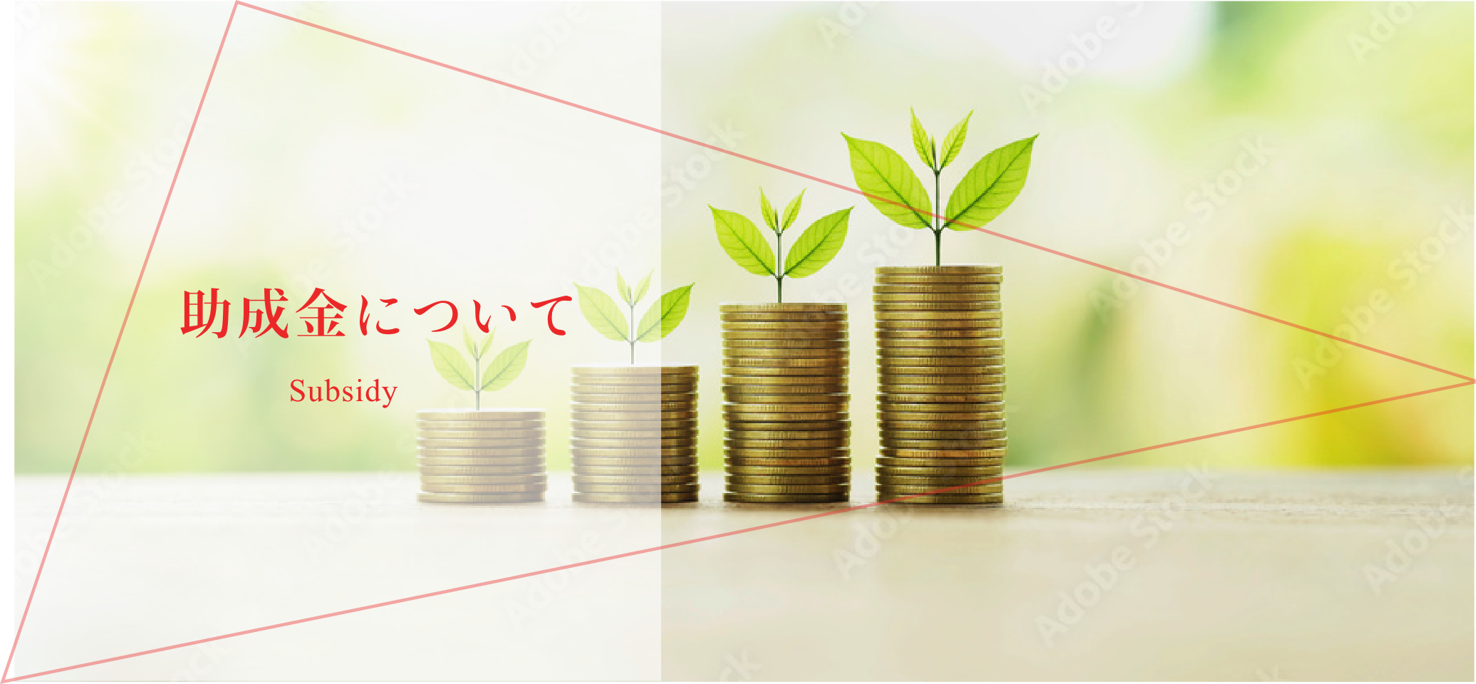 助成金について